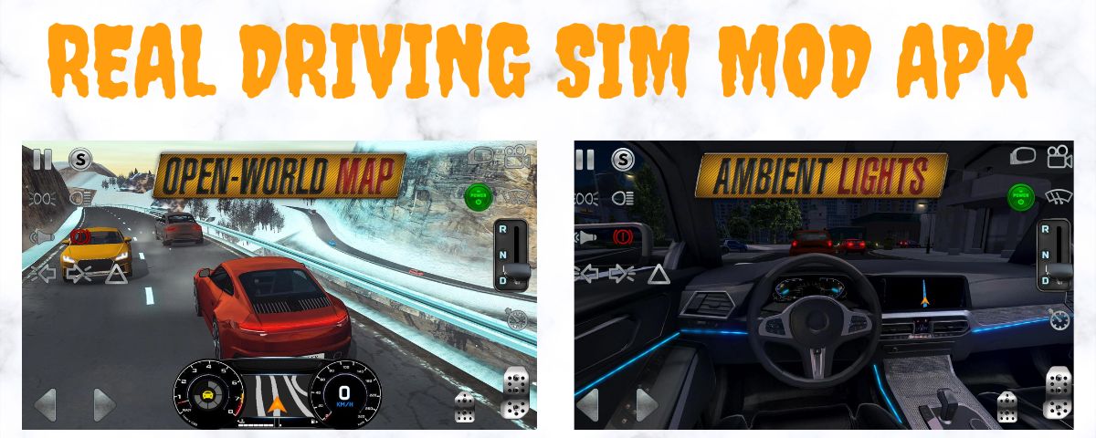 Real Driving Sim MOD APK.apkmodapps.co